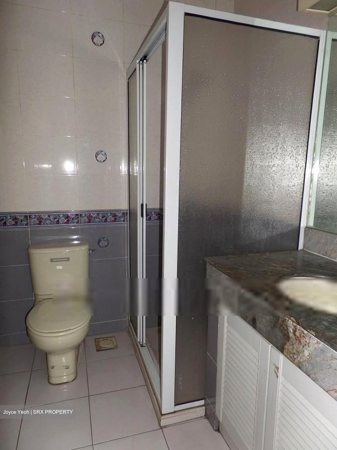 Banyan Condominium (D5), Condominium #578654891